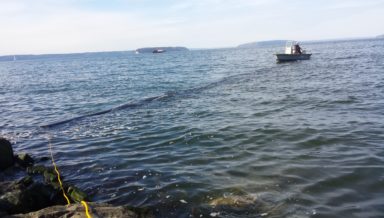 Outfall Repair at Naval Station Everett