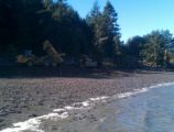 Maylor Beach Restoration Oak Harbor Washington