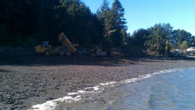 Maylor Beach Restoration Oak Harbor Washington