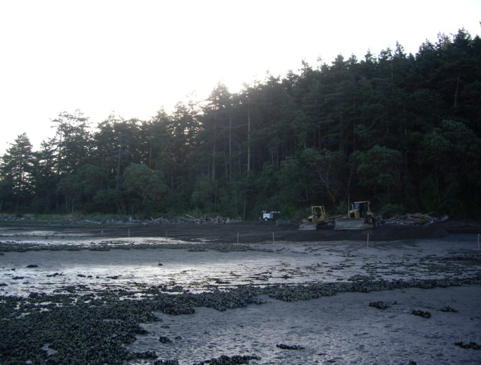 Maylor Beach Restoration Oak Harbor Washington