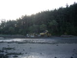 Maylor Beach Restoration Oak Harbor Washington