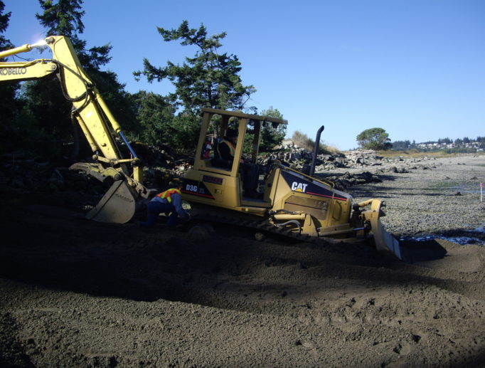 Maylor Beach Restoration Oak Harbor Washington