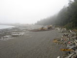 Maylor Beach Restoration Oak Harbor Washington